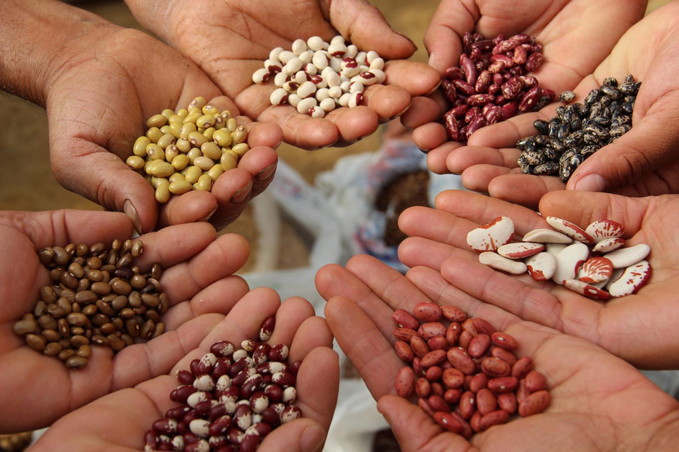 “Yerli ve milli tohum çalışmalarını bakanlık olarak destekliyoruz”